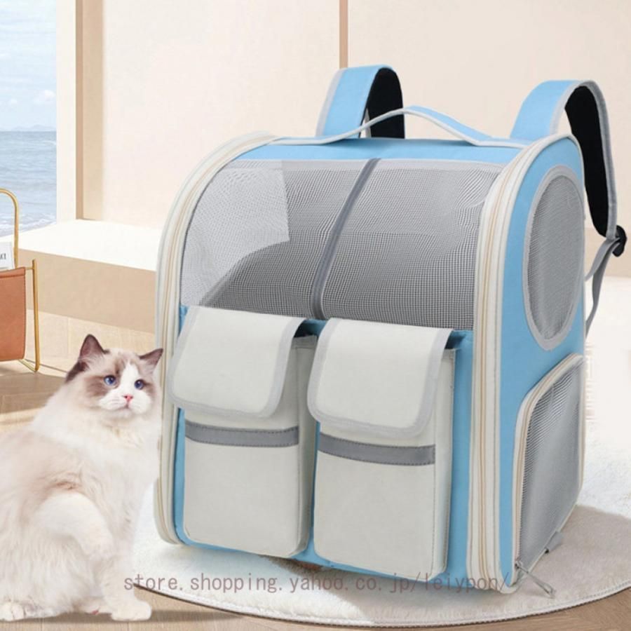 小型犬