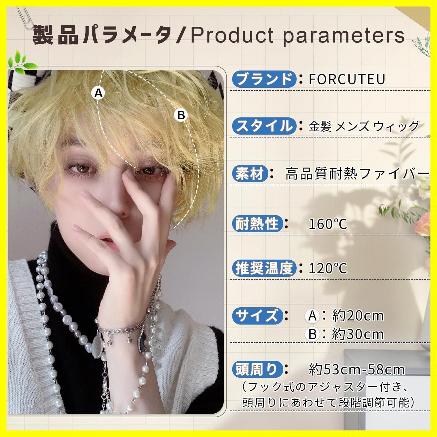 限定商品】パーマ かつら マッシュ 男性 男装 フルウィッグ 限定商品】パーマ かつら マッシュ 男性 男装 フルウィッグ