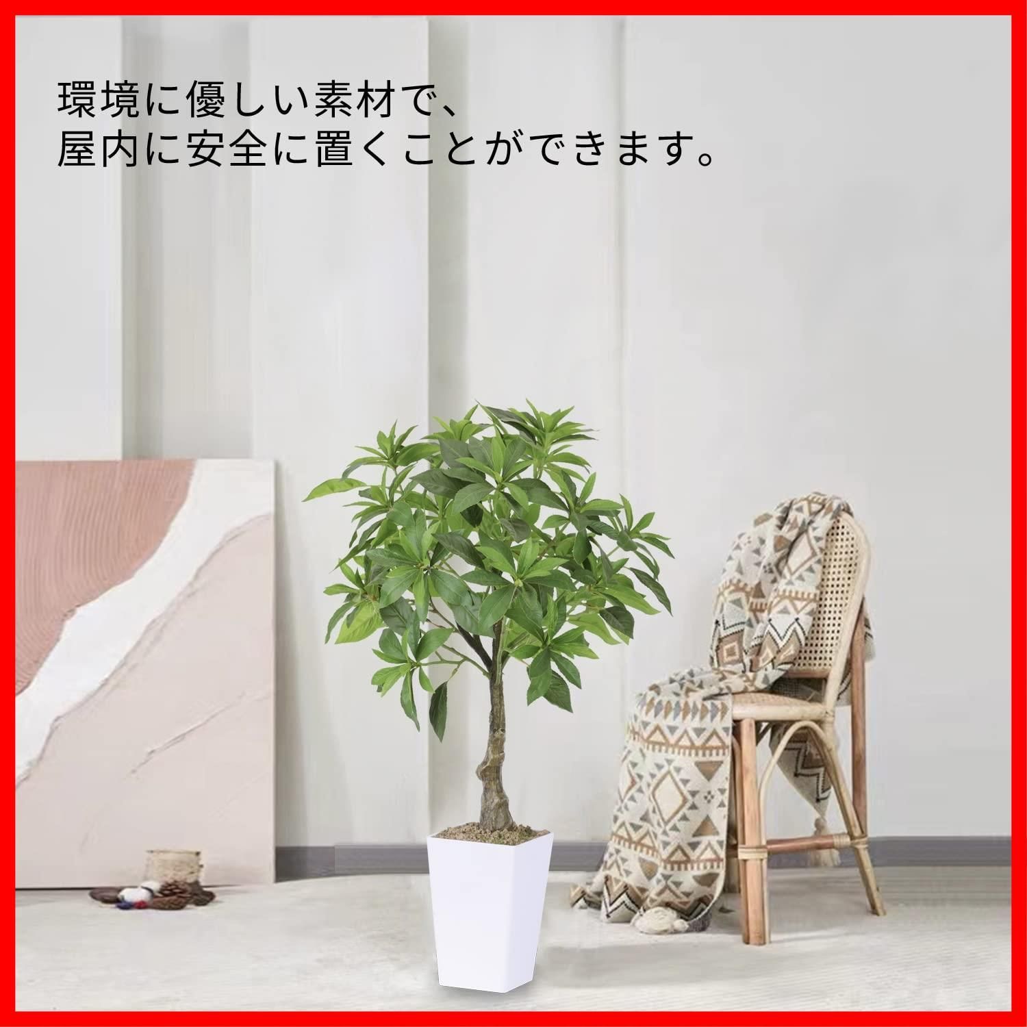 光触媒