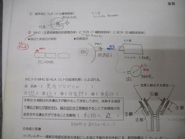 駿台 生物H Part1/2 テキスト通年セット 2017 計4冊 伊藤和修 063M0D 駿台 生物H Part1/2 テキスト通年セット 2017 計4冊 伊藤和修