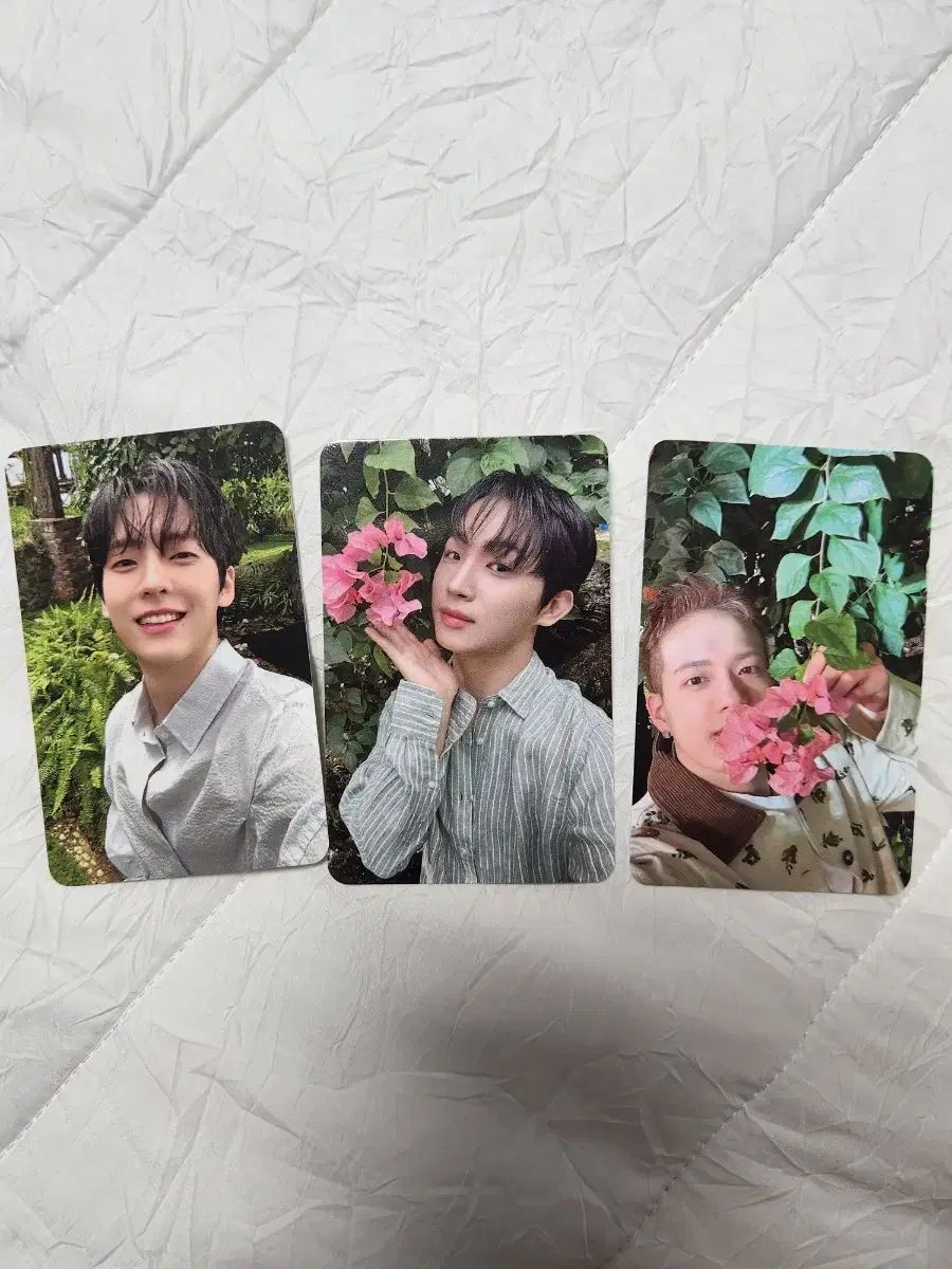 ♯Lni10BF大きいスマホのふとんシークレット入6種