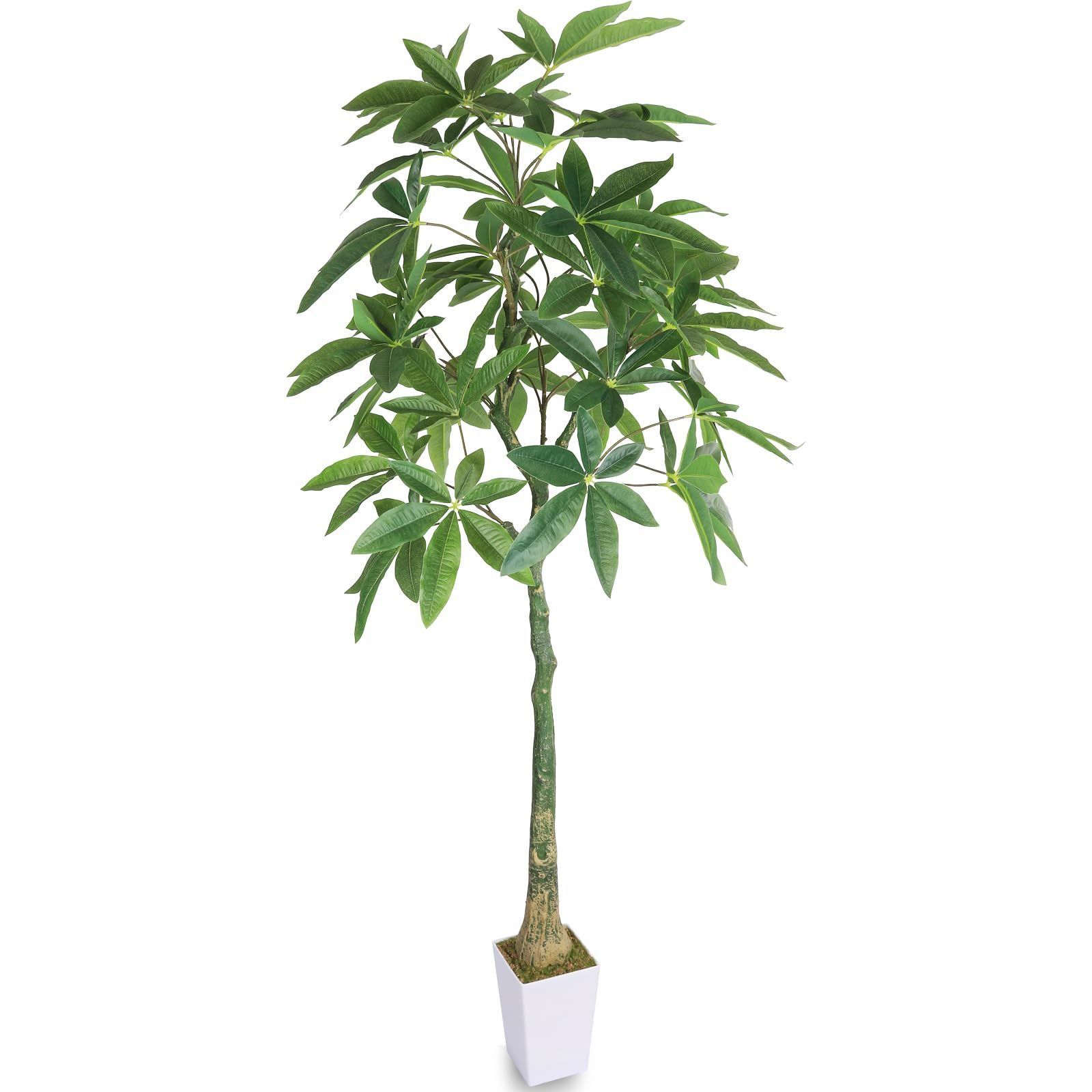 新着商品 抗菌 消臭 インテリアグリーン 高さ150CM 観葉樹 おしゃれ パキラ 人工植物 オフィス 造花 室内 光触媒 フェイクグリーン 装飾 人工観葉植物