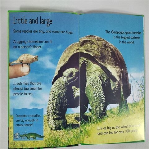新品未使用Usborne Beginners History 10册 英語　洋書 Usborne Beginners History 10 Books Collection Box Set (Stone