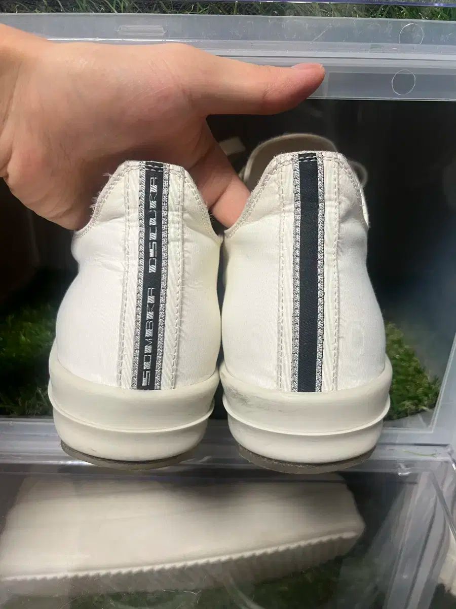 リックオウエンス　ダークシャドウ　ラモーンズ　正規品　Rick Owens 楽天市場】Rick Owens リックオウエンス ダークシャドウ