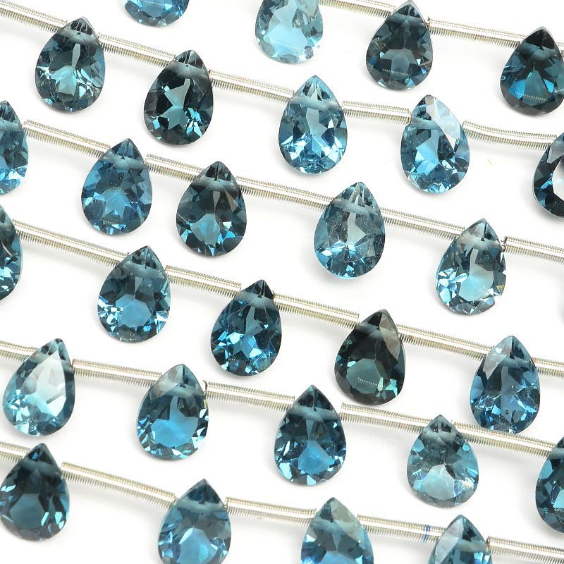 未確認種のアンモナイトと二枚貝の群集化石