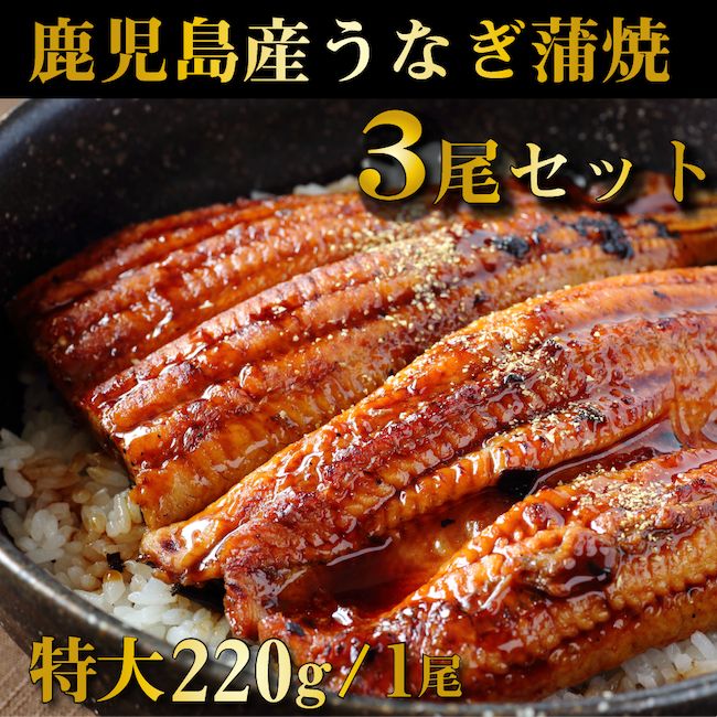 鹿児島産鰻蒲焼 有頭 1尾あたり220g前後 3尾セット 国産うなぎ