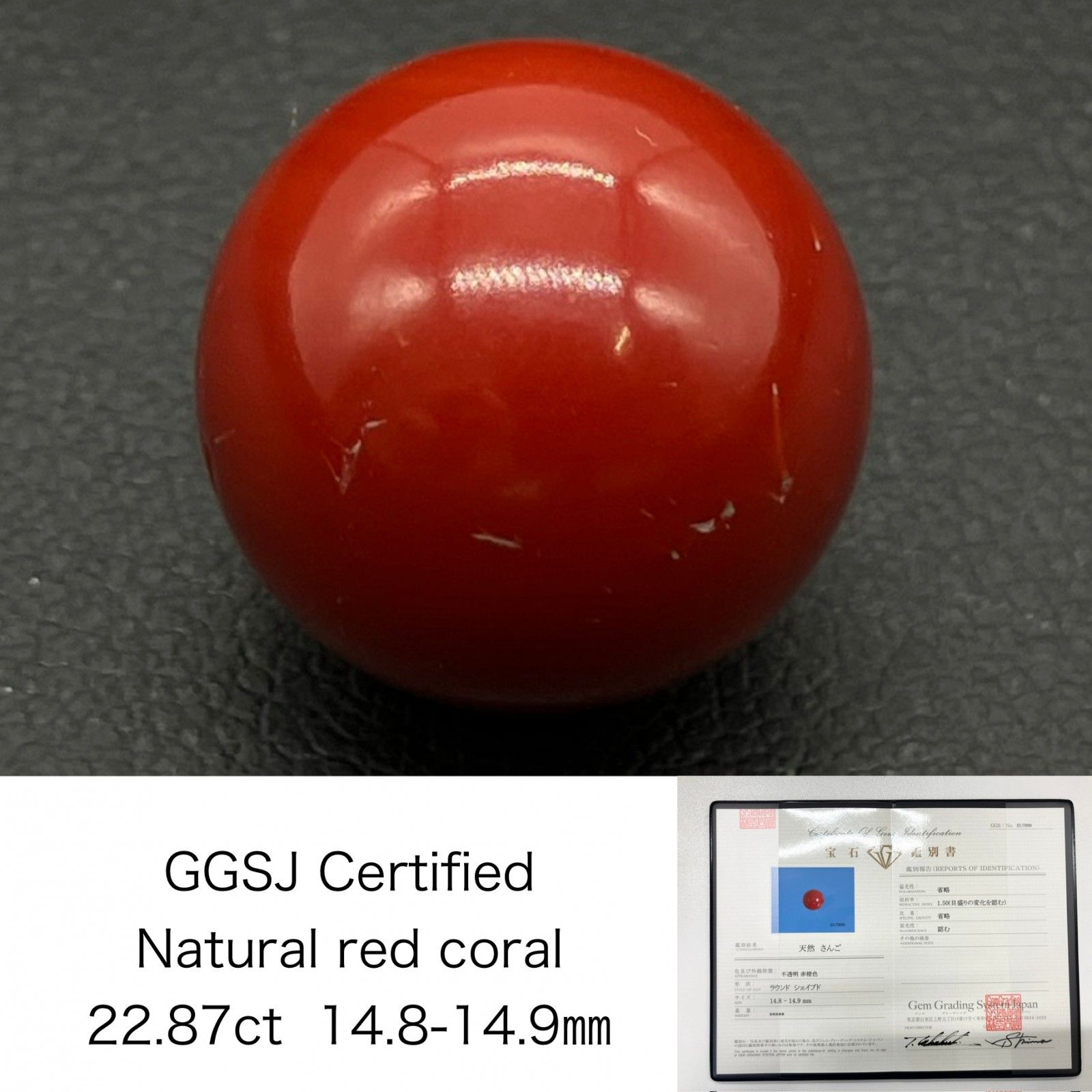 赤珊瑚 本赤珊瑚 風鎮一対 共箱 84g 東Y7-0213☆2Fタコサ 本赤