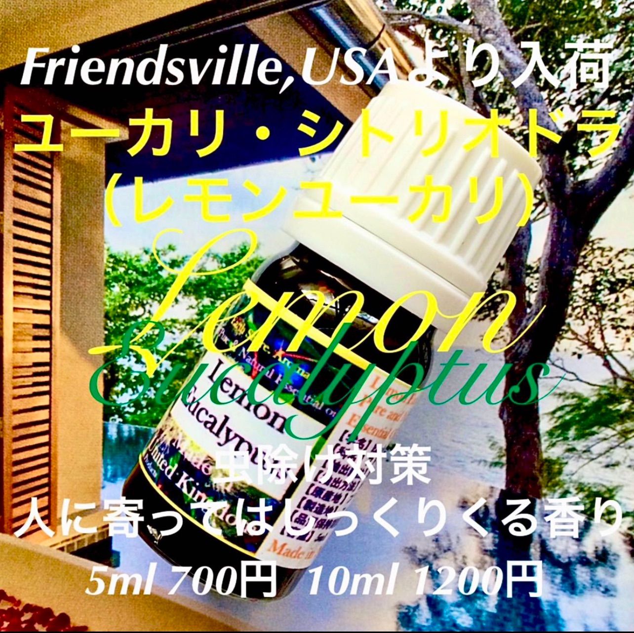 こねパン様ご
