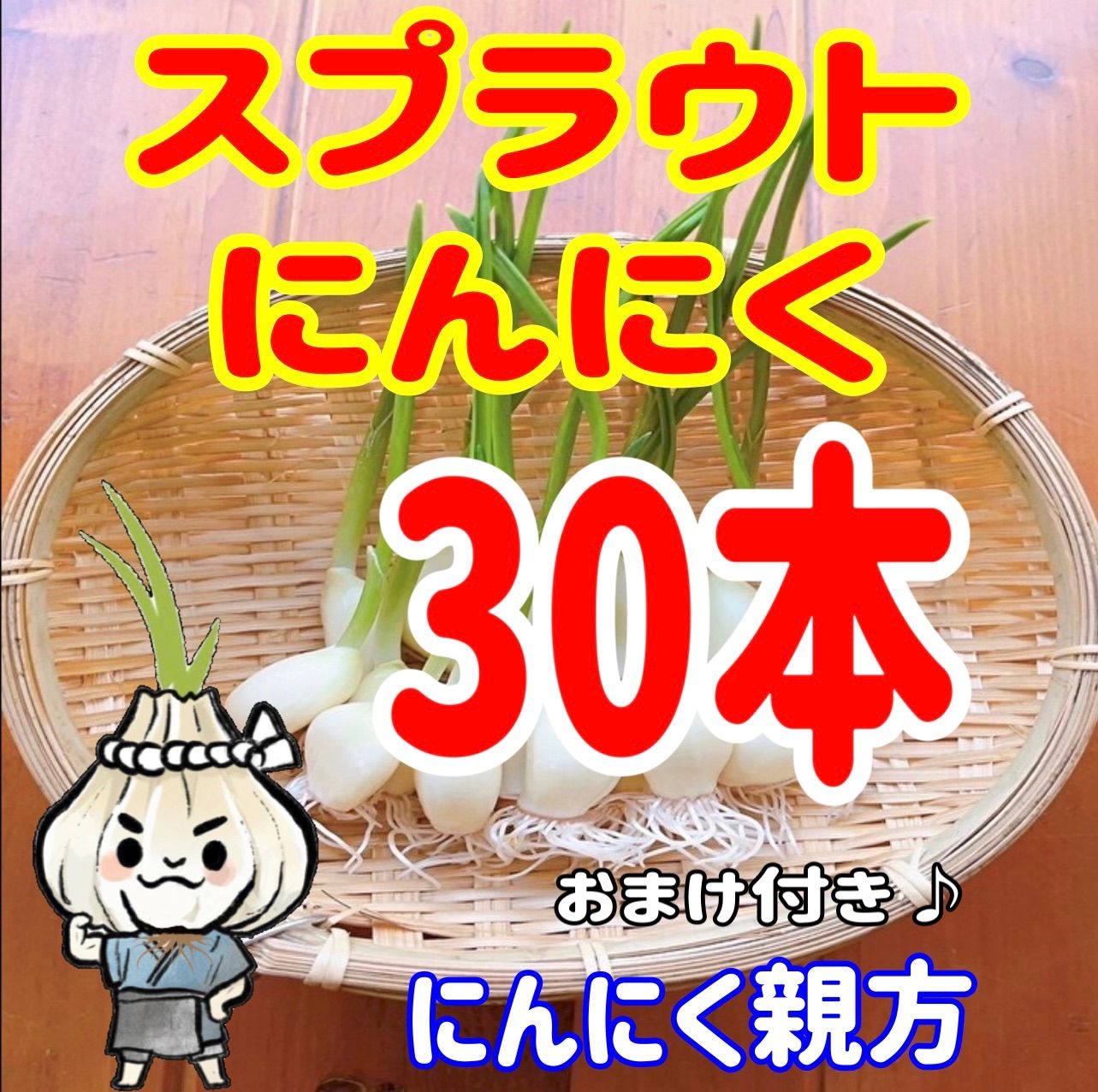 スプラウトにんにく 驚きの栄養価 発芽にんにく 35本 にんにく親方 - 野菜