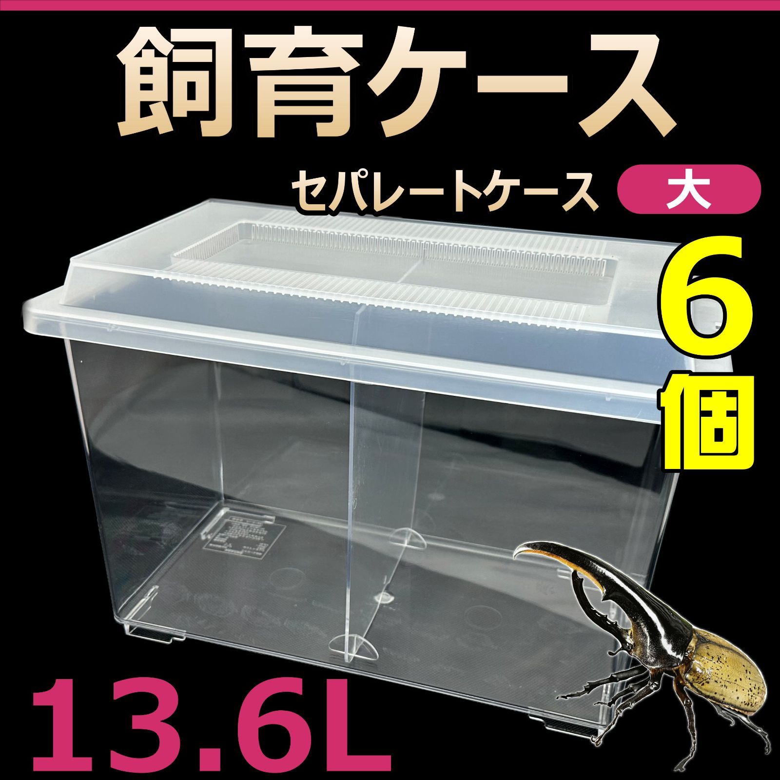 飼育ケース セパレートケース 大 13.6L 新品 6個 カブトムシ