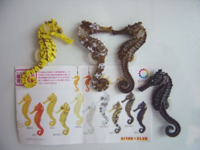 ♯Hzi21JJネイチャータツノオトシゴストラップマグネット8種