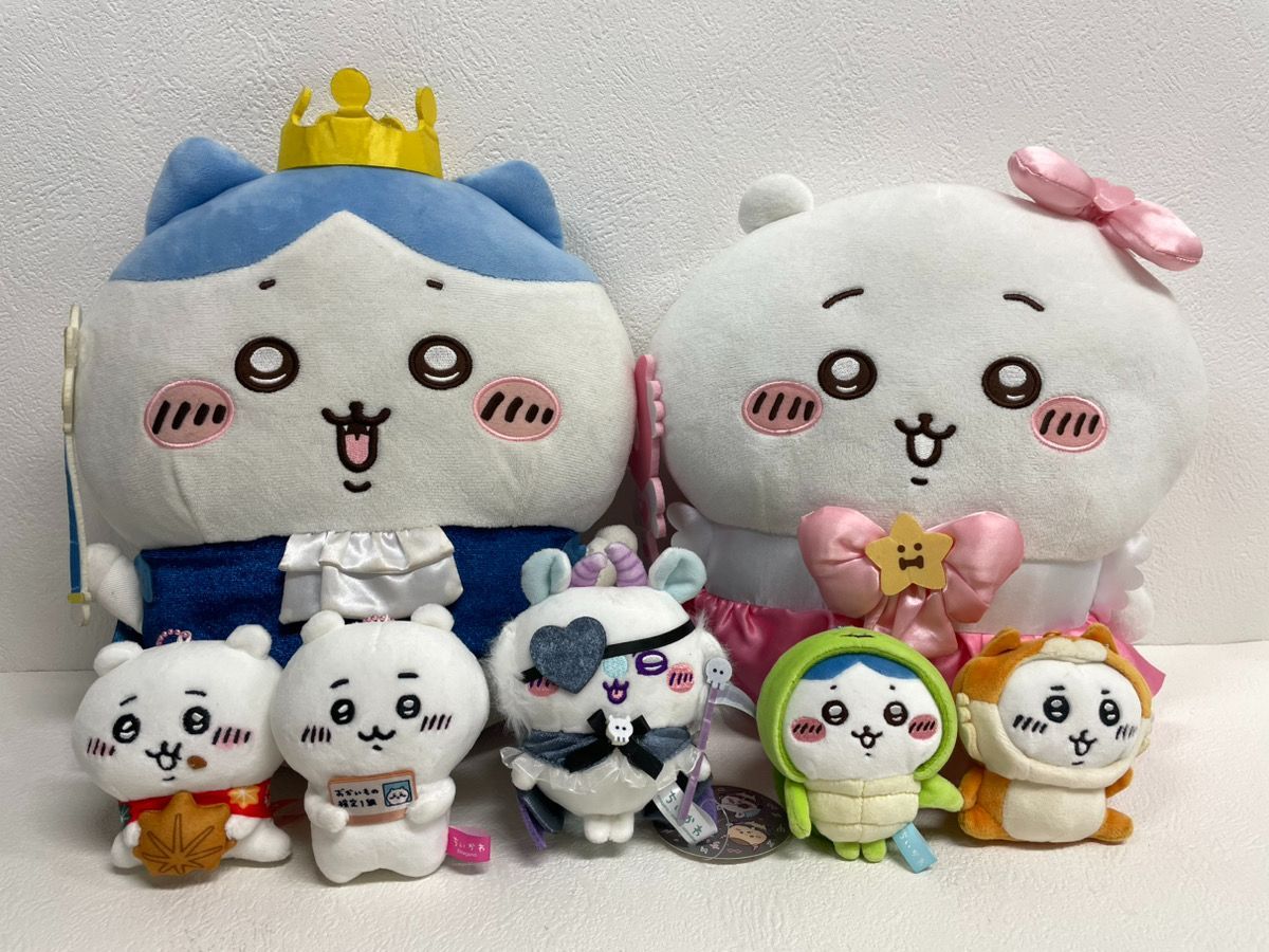 ウチムラサキ貝（大あさり）ハーフシェル 1kg（11-15個）x10P（P2,600