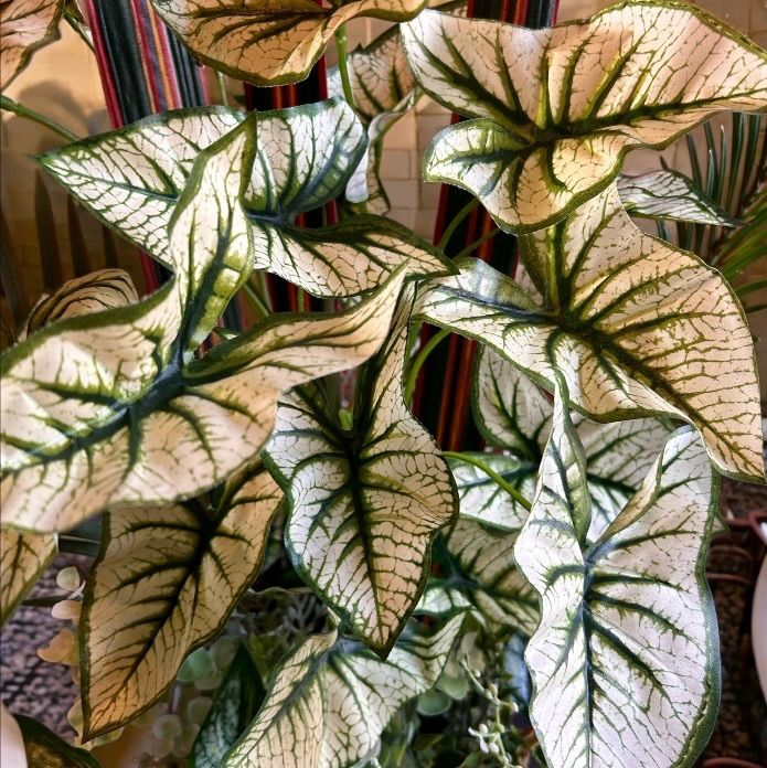 光触媒 人工観葉植物 ウォールグリーン フェイクグリーン パキラと