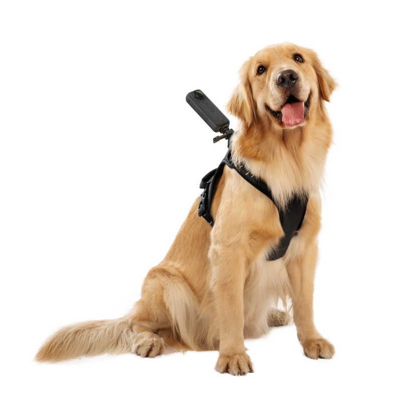 ペット用ハーネスマウント