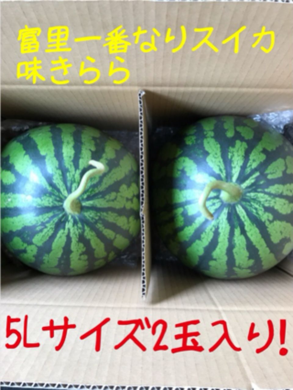 富里一番なりスイカ味きらら5Lサイズ2玉入り 【公式通販】