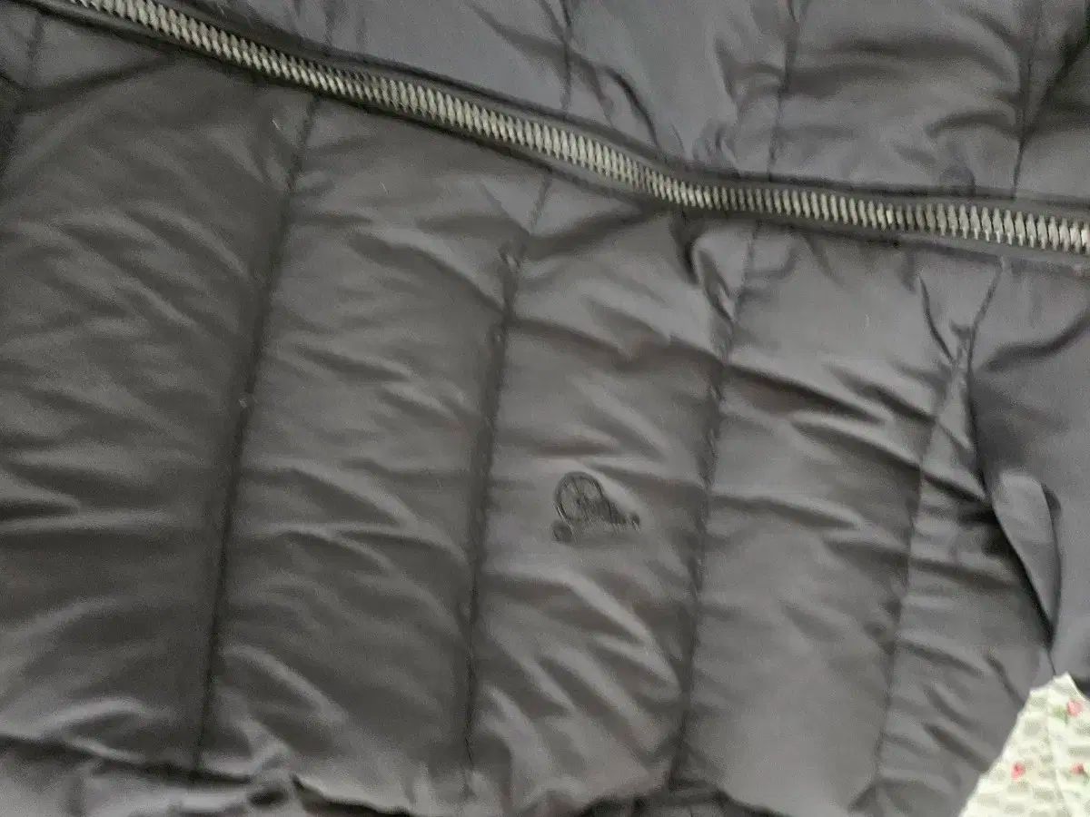 女児 ダウンジャケット ロング丈 DAKS ダックス 150 BEAN POLE ビーンポール 165 サイズ STEELWINDOWSANDDOORS_COM