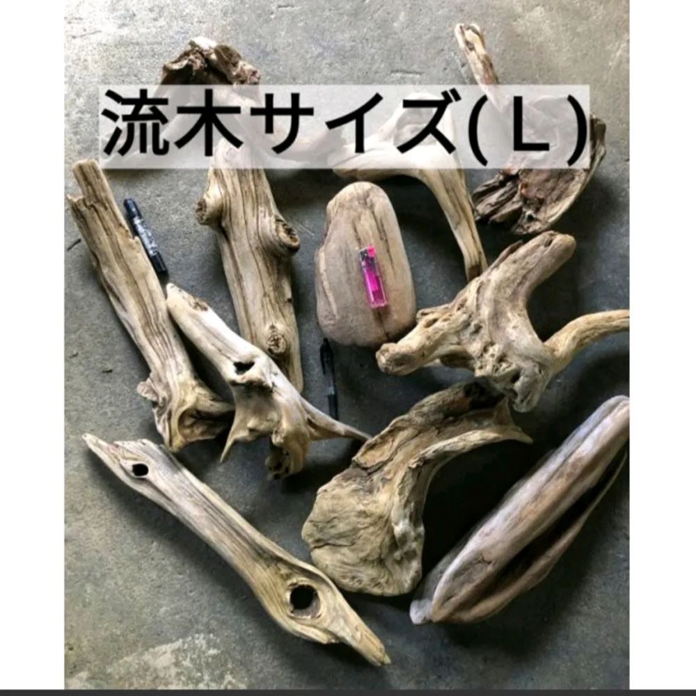 ウェッジウッド ダイナスティ オーバルディッシュ サラダボウル 【公式