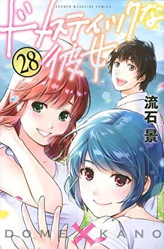 コミック ドメスティックな彼女 全２８巻