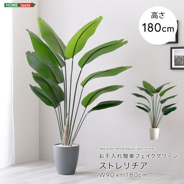 ストレリチア フェイクグリーン 高さ180cm 観葉植物 フェイク 大型 人工観葉植物 鉢植え 水やり不要 枯れない グリーン インテリア おしゃれ 室内 人工植物 造花 リアル 作り物 木 樹 お手入れ簡単 虫がわかない 楽鳥花 約 幅90×高さ180c