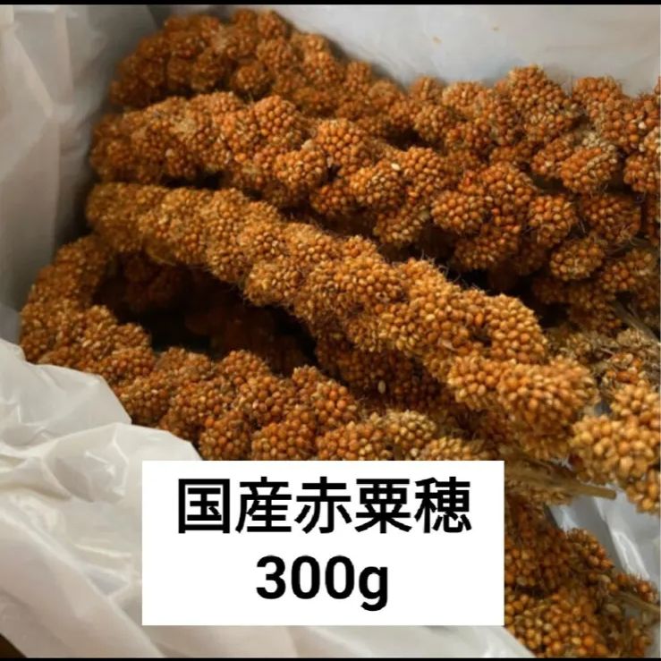 無農薬 国産赤粟穂 300g - メルカリ