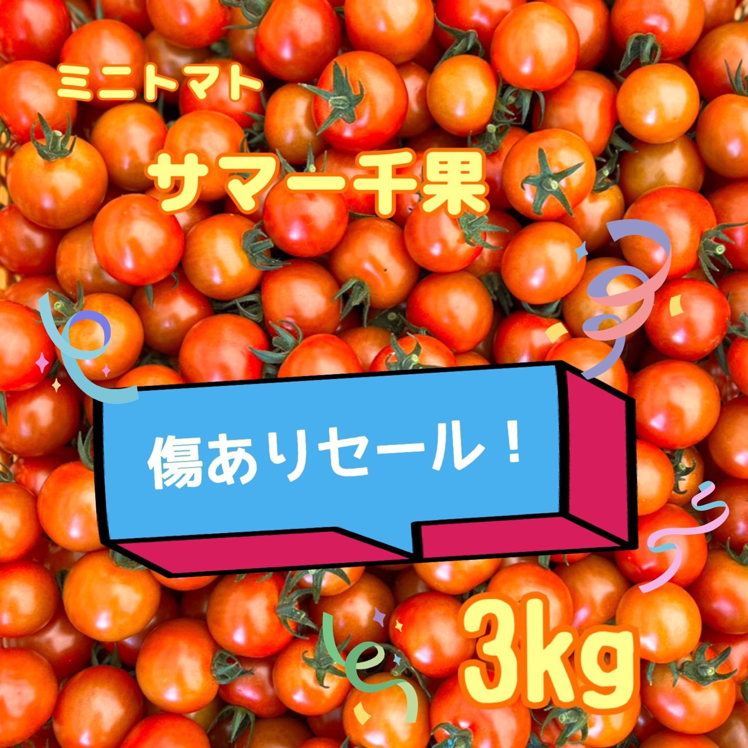【翌日発送可能】 SALEミニトマト3kg 野菜 【翌日発送可能】 SALEミニトマト3kg 野菜