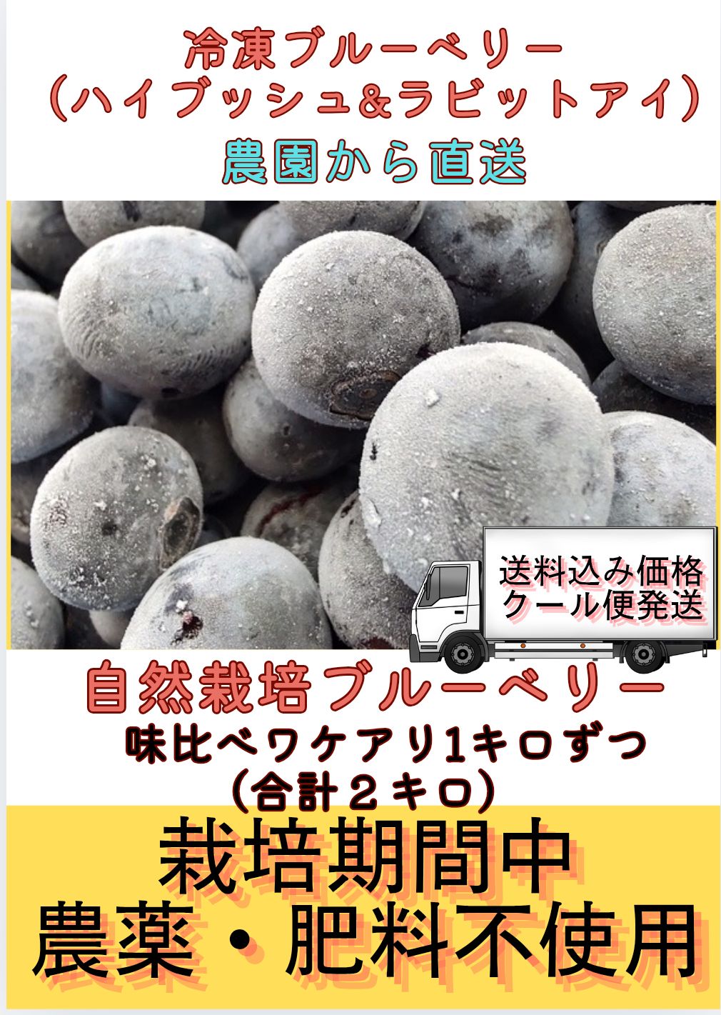ブルーベリー マイク 説明書 ブルーベリー マイク 説明書 ブルーベリー