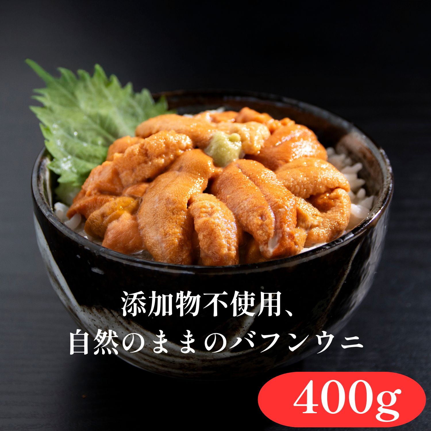 無添加塩水ウニ 赤系 400g 漁協厳選