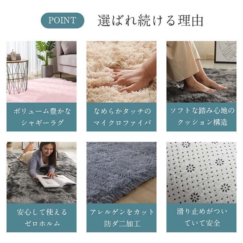 ラグ 洗える