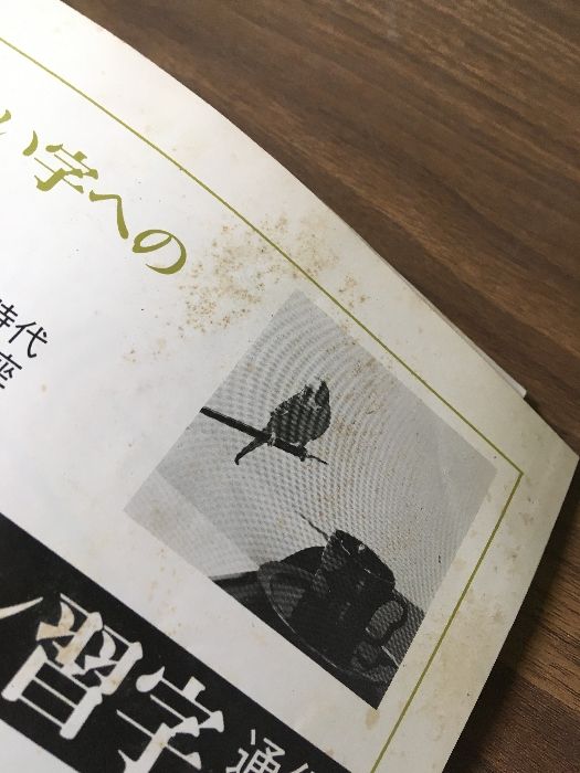 ペンの光  令和２年度１年分１２冊 ペンの光のバックナンバー | 雑誌/定期購読の予約はFujisan
