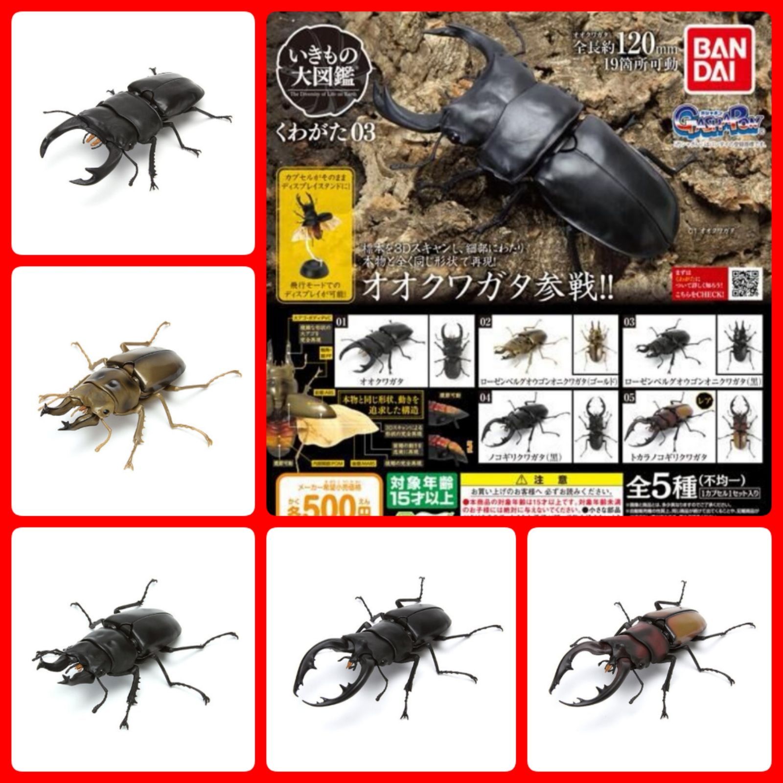 全5種】いきもの大図鑑 くわがた03 ガチャガチャ ガシャポン