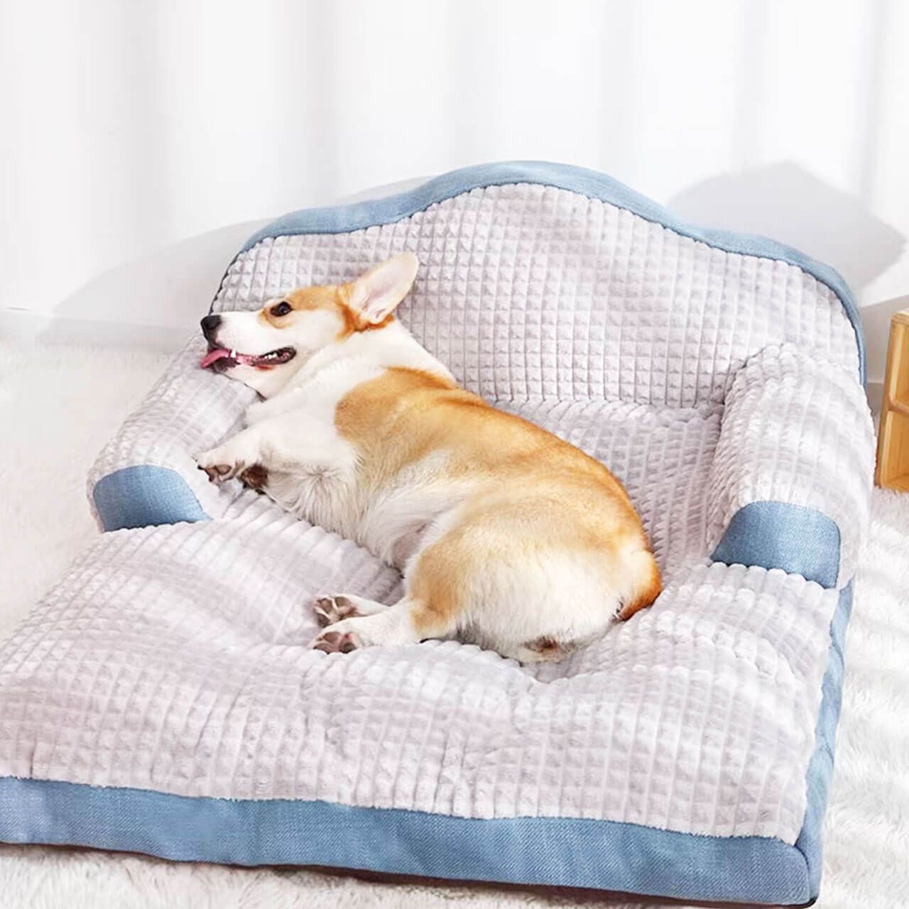 犬用品