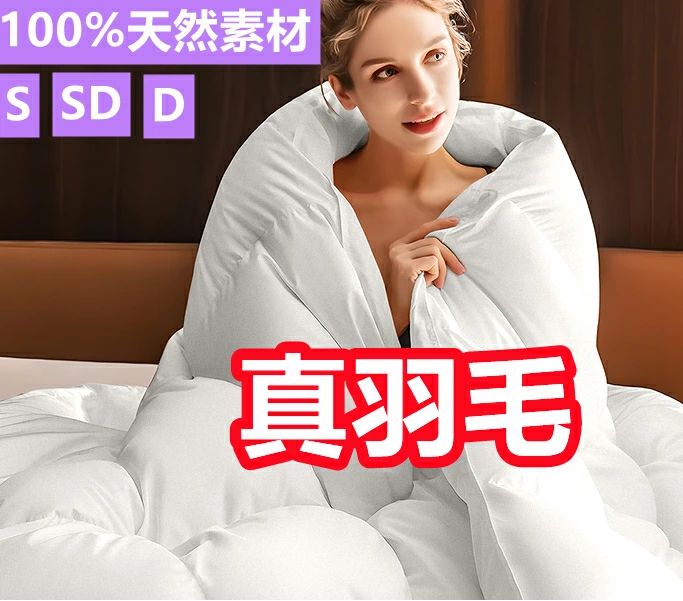 ホワイト 170cmｘ210cm 羽毛布団 ダックダウン85 掛け布団 冬 独自技術とデザインの抗菌防臭加工 詰め物30 増 羽根布団 ふとん