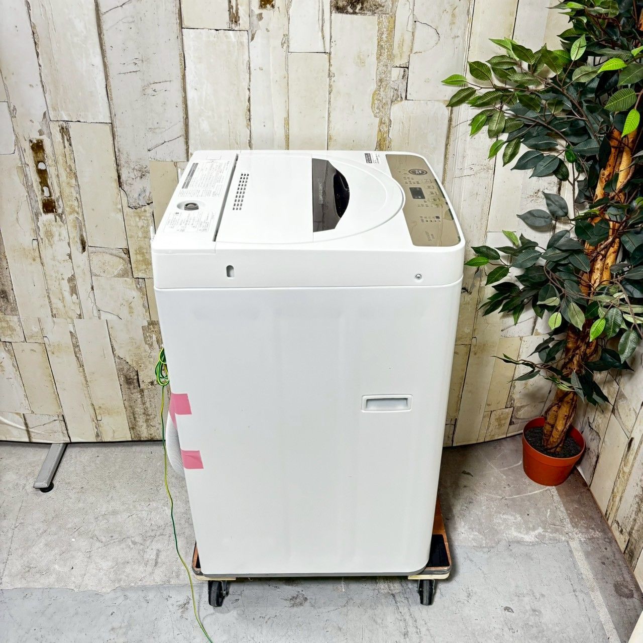 SHARP 洗濯機 ES-GE6E 6kg 2021年製 2020年 シャープ 6.0㎏ ES-GE6E-