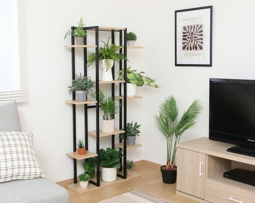 ディスプレイスタンド ワイド BK 63763 不二貿易