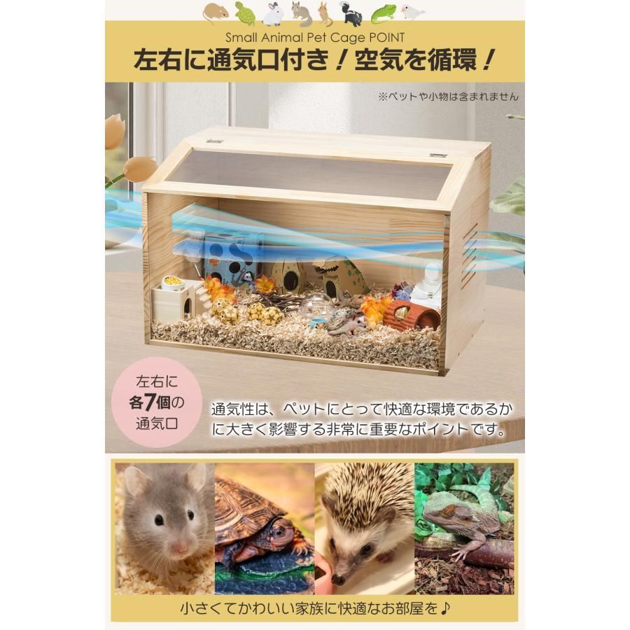 カメレオン