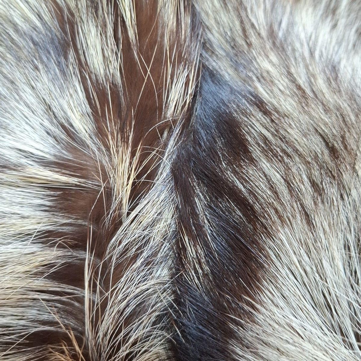 サガフォックス SAGA FOX フォックス アイボリー×ダークブラウン ネーム刺繍 新品同様 マフラー サガフォックス SAGA FOX - フォックス アイボリー×ダークブラウン