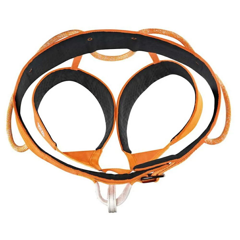 Harness t