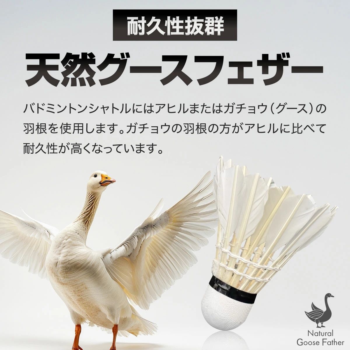 A-WIN トーナメント フェザーシャトル 12個入り