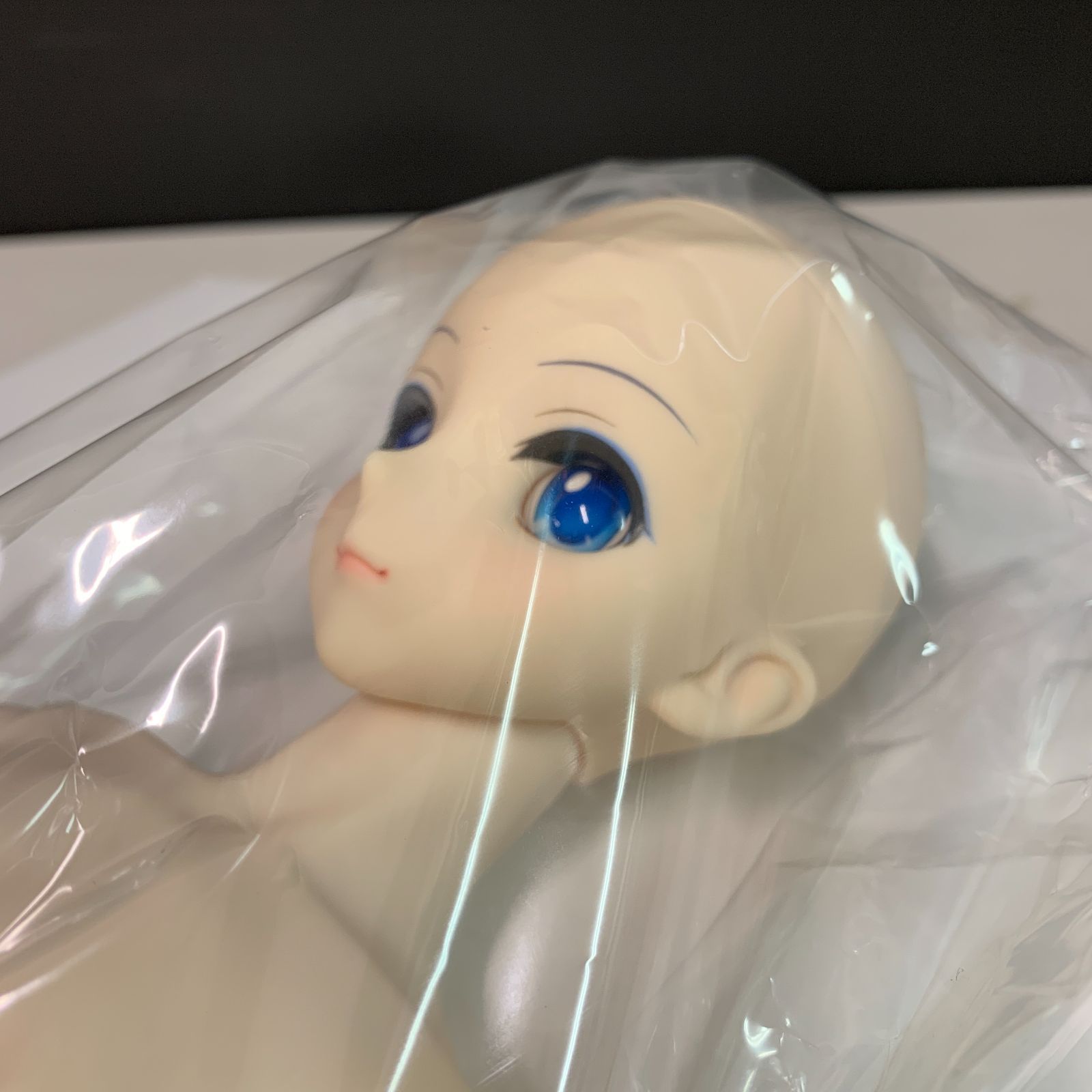 ドルフィードリーム