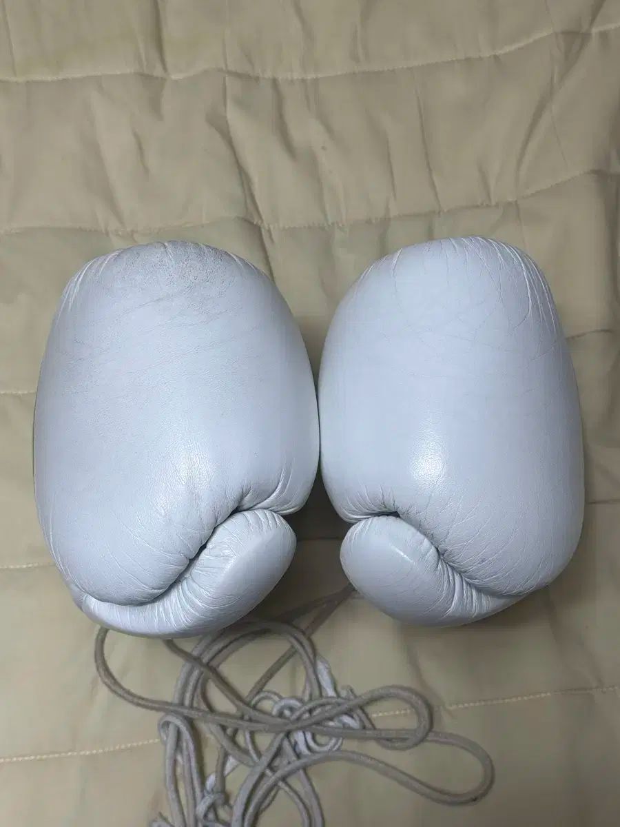 Winning オフィシャル