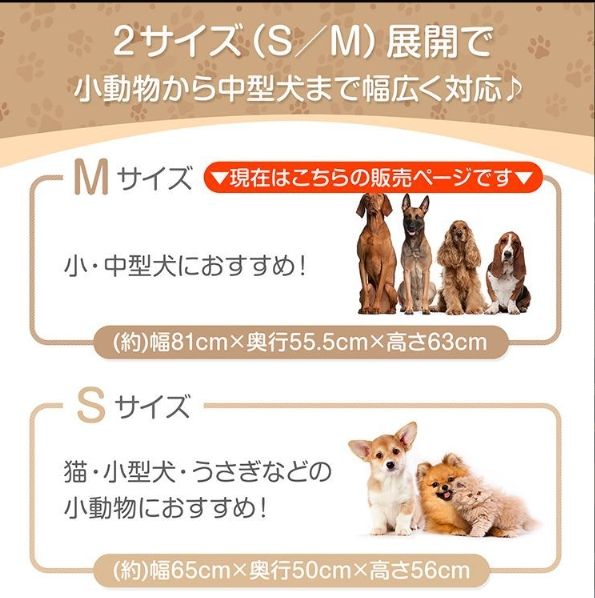 天面 側面
