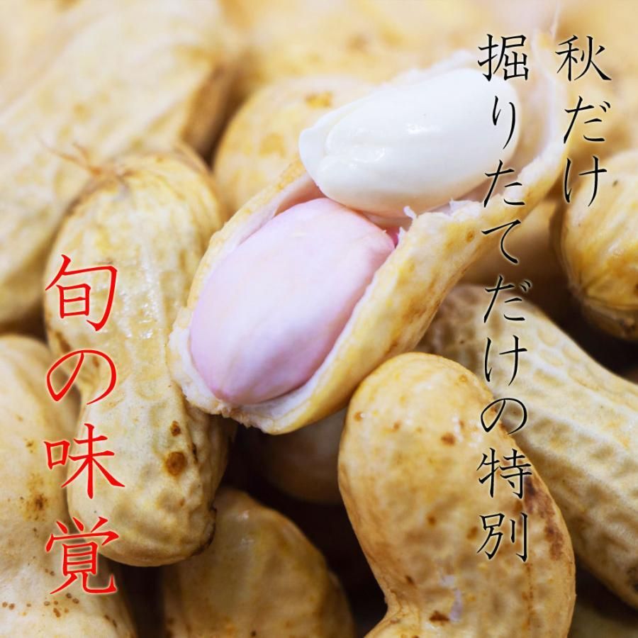 ゆで落花生用 生落花生おおまさり 1kg　令和6年産  洗浄済