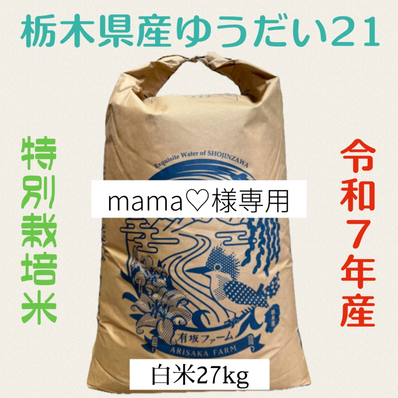 maco様確認用 ♢さま 専用 MAKO様確認用 ZX プロテクター | ケンコー