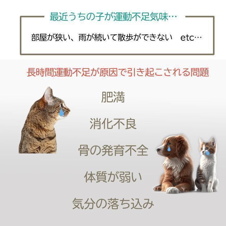 健康