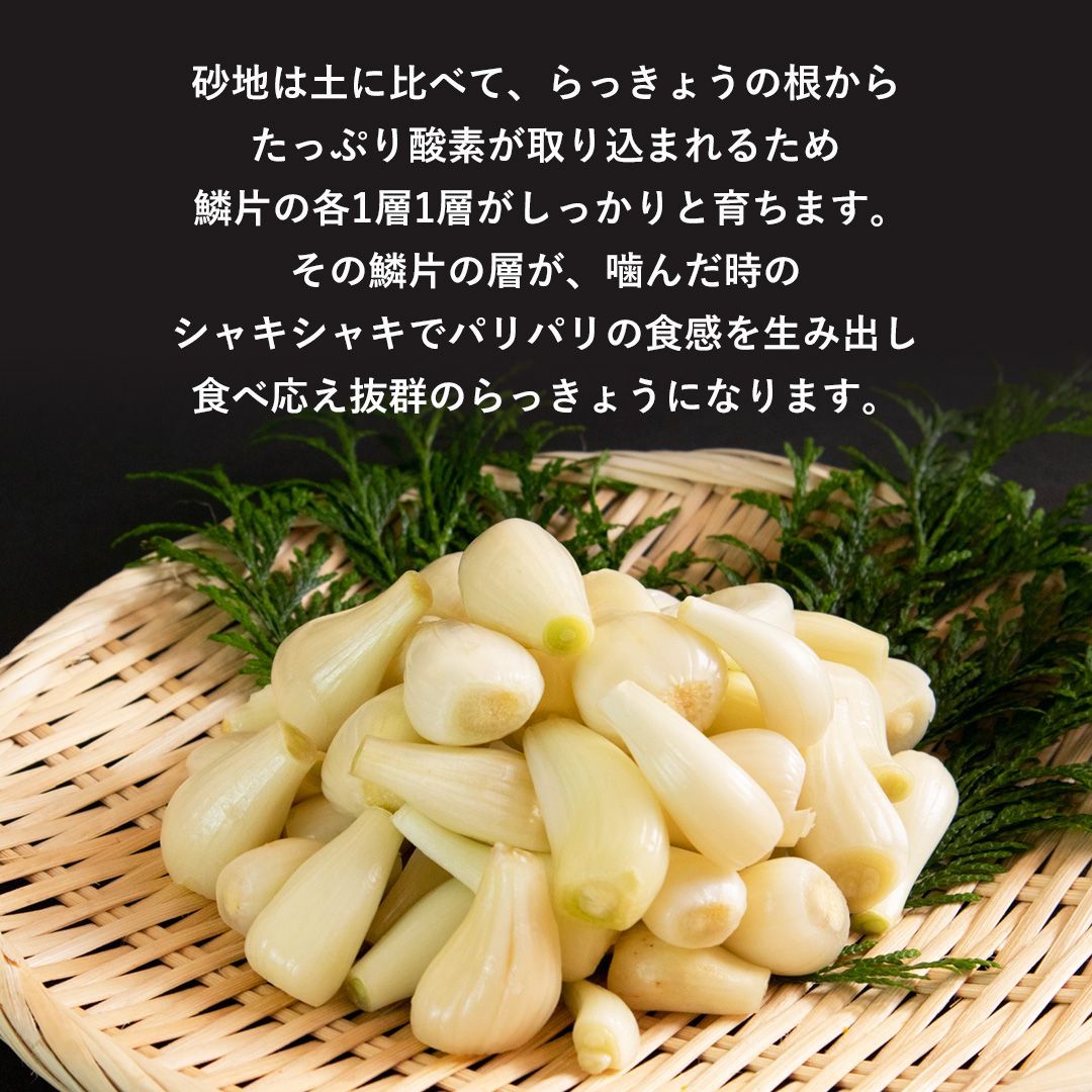 塩水で芽止め処理済 10kg