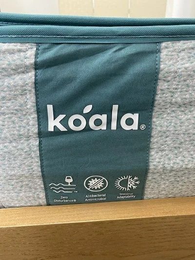 koala