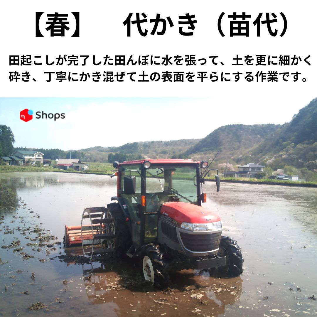 一時間タイムセール 福島県産 新米 30kg 【公式通販】
