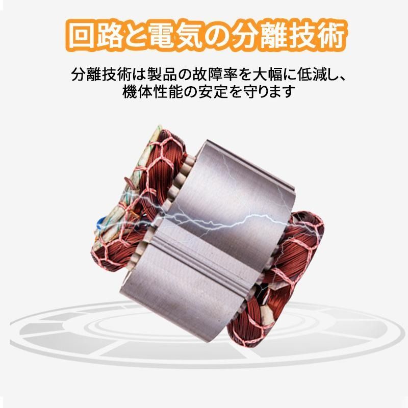 中型犬 大型犬