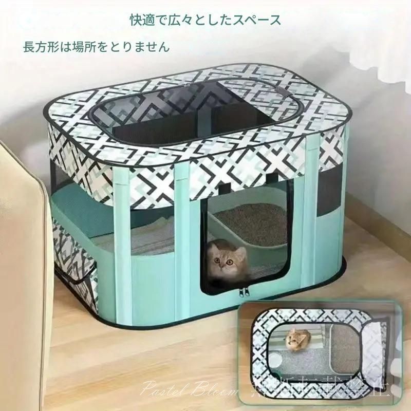 猫用 子猫
