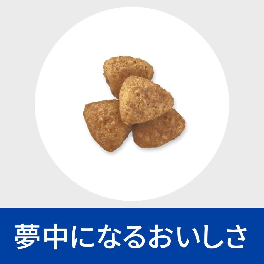 ドライ